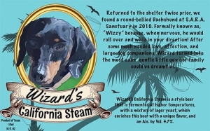 Wizard's California Steam