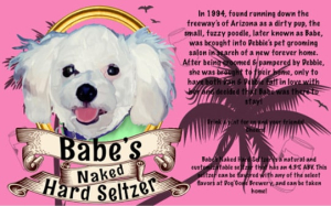Babe's Naked Hard Seltzer