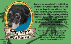 Daisy's IPA