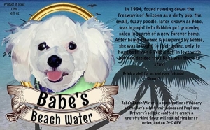 Babe's Beach Water