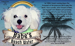 Babe's Beach Water